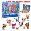 Little Pet Advent Calendar
