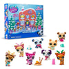 Little Pet Advent Calendar
